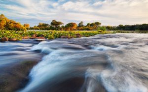 Visit the Roaring Zambezi River in Zambia with Vayeni