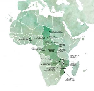 African Parks 20th Anniversary