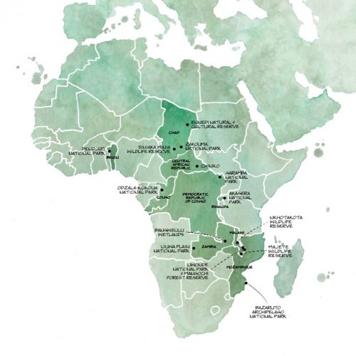 African Parks Celebrates 20th Anniversary   Africanparksmap 500x500 